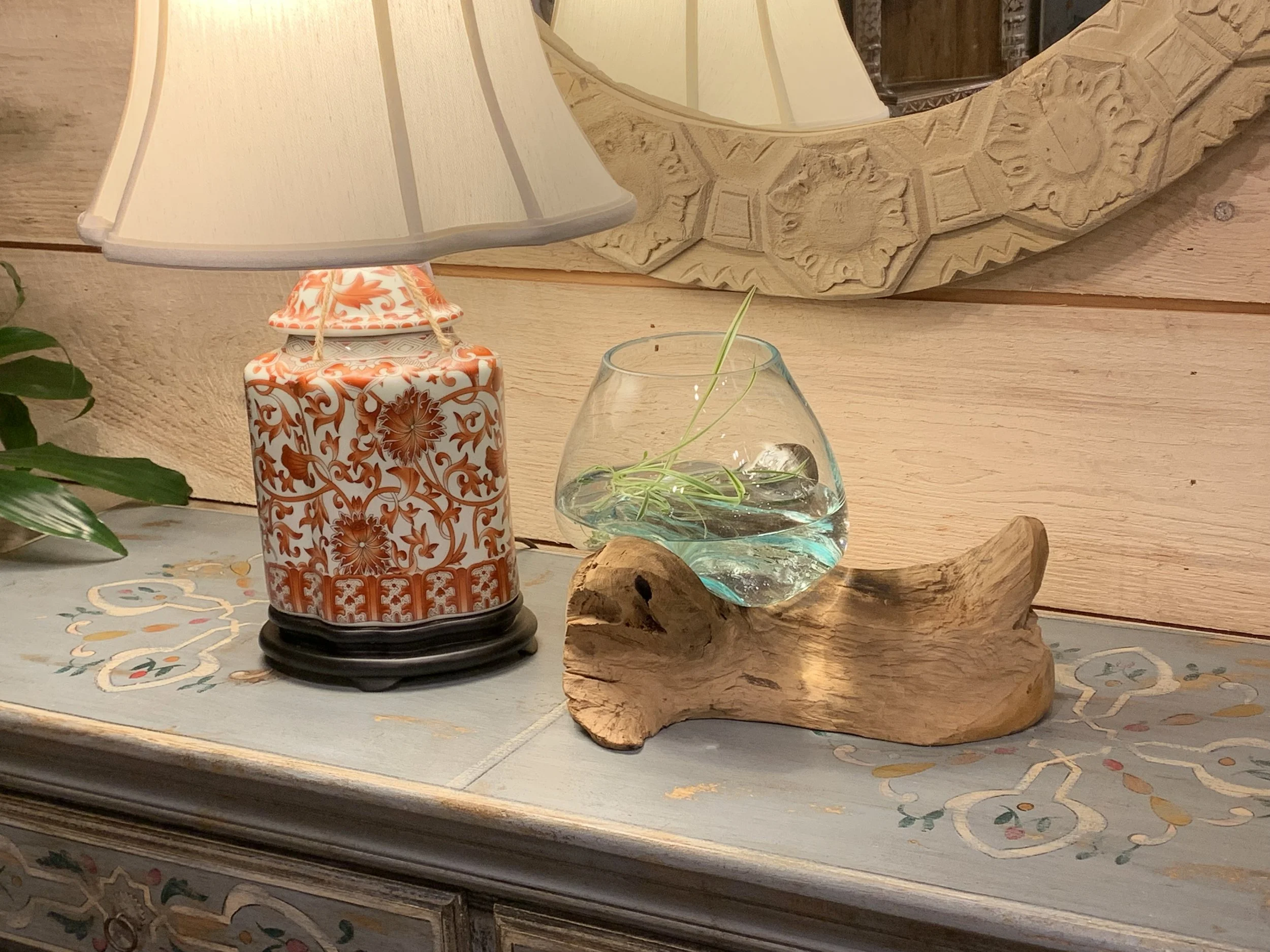 Small Glass and Driftwood Terrarium | Asia West